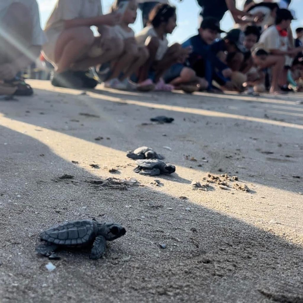 Imagen-de-WhatsApp-2025-02-17-a-las-14.29.29_aff3d36a-1024x1024 Proyectarán en televisión las maravillas naturales de Tamaulipas: CPBT