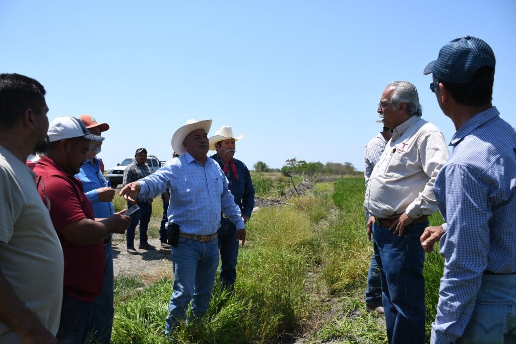 Imagen-de-WhatsApp-2025-05-15-a-las-17.36.56_dbbd98a1-1024x682 Supervisa secretario de Desarrollo Rural siembra de arroz