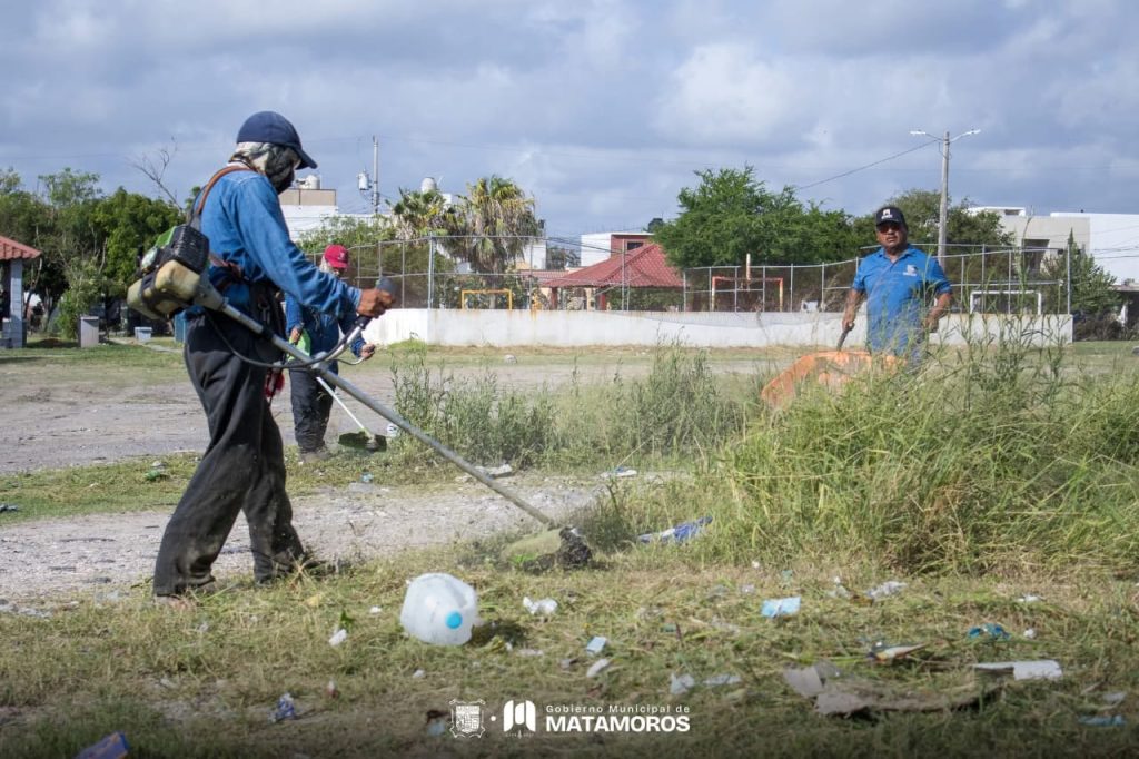 IMG-20250624-WA0021-1024x682 Gobierno municipal intensifica labores de limpieza en avenidas y espacios públicos