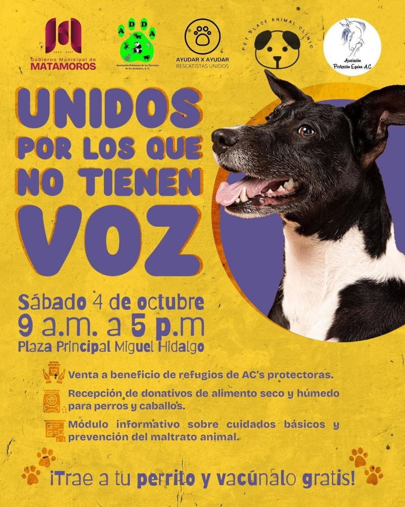 IMG-20250930-WA0008-819x1024 El Gobierno de Beto Granados invita a jornada por el bienestar animal en Matamoros