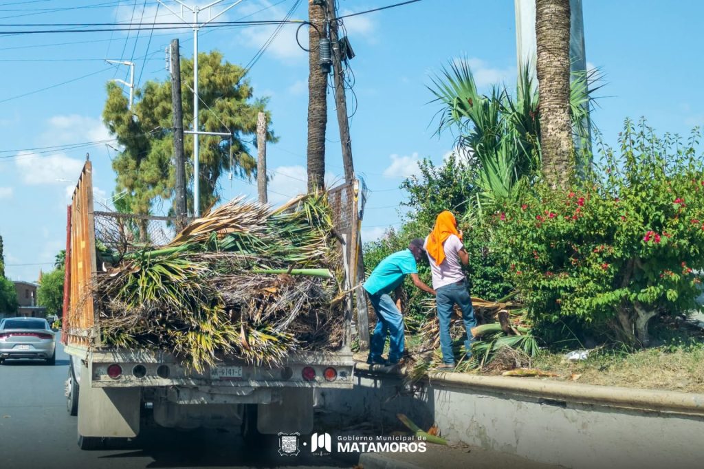 IMG-20251108-WA0012-1024x682 Refuerza gobierno de Matamoros, limpieza y recolección de basura en colonias y avenidas