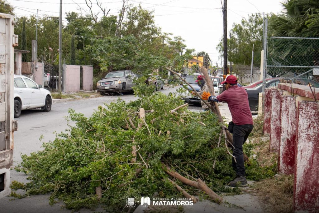 IMG-20251207-WA0049-1024x682 Refuerza Gobierno de Beto Granados acciones de mantenimiento en áreas verdes y avenidas