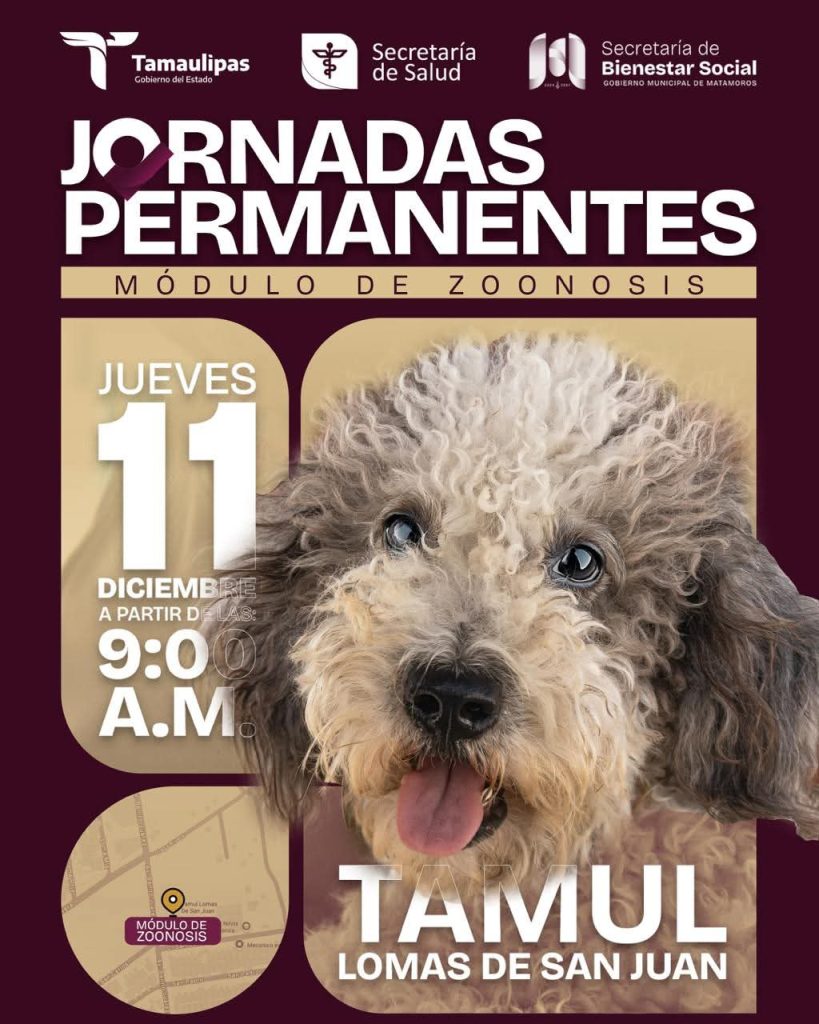 IMG-20251211-WA0018-819x1024 Beto Granados acerca servicios de salud animal al Tamul Lomas de San Juan