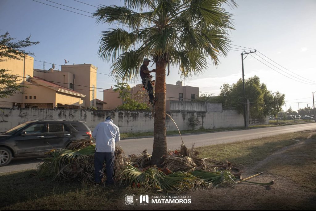 IMG-20251226-WA0005-1024x682 Avanza la rehabilitación de áreas verdes en el Fraccionamiento Praderas: Beto Granados