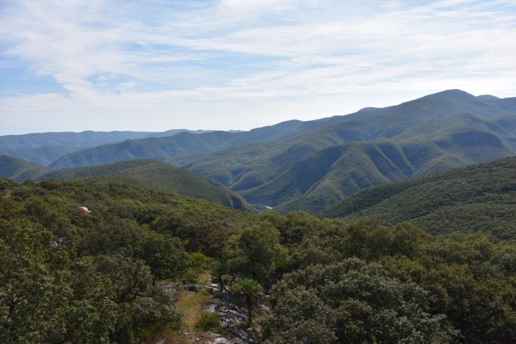IMG-20260212-WA0040-1024x682 Presenta Tamaulipas otras tres rutas turísticas para aficionados al fútbol