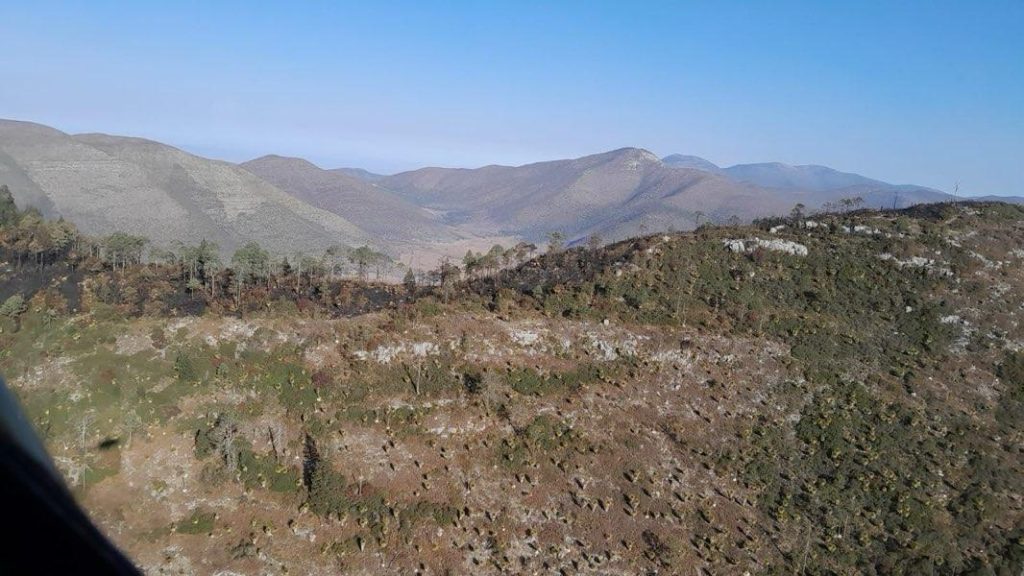 IMG-20260306-WA0012-1024x576 Controlado incendio forestal “Puerto del Volcán” en Miquihuana