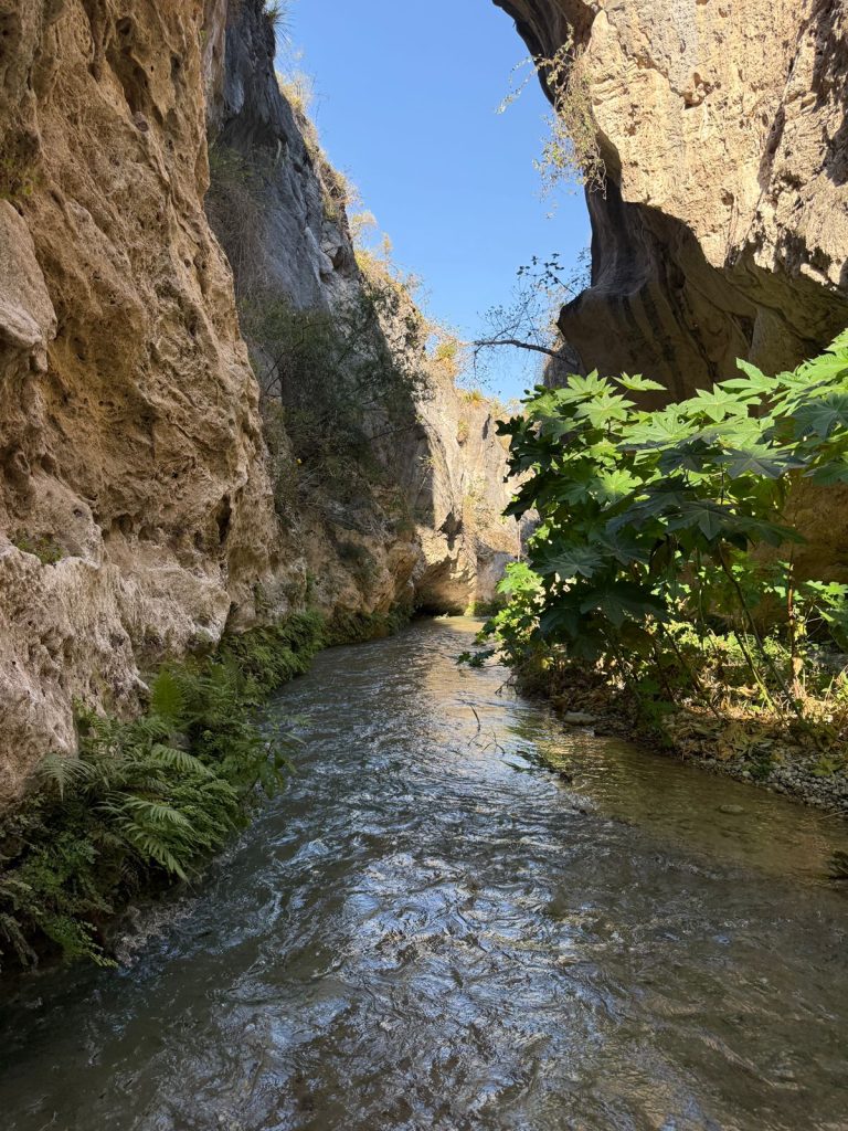 IMG-20260330-WA0063-768x1024 Vive la Semana Santa en Tamaulipas: Turismo