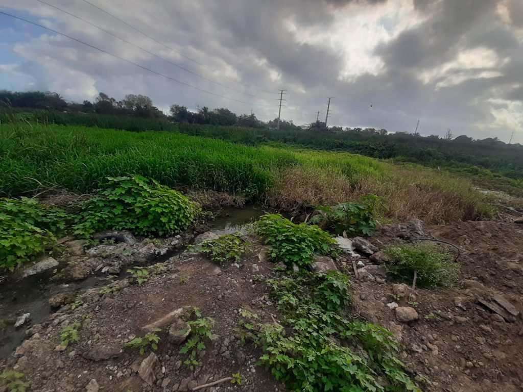 WhatsApp-Image-2026-03-05-at-9.10.24-PM-1024x768 Interviene la PAUT ante presunto relleno de la Laguna Tierra Negra de Madero