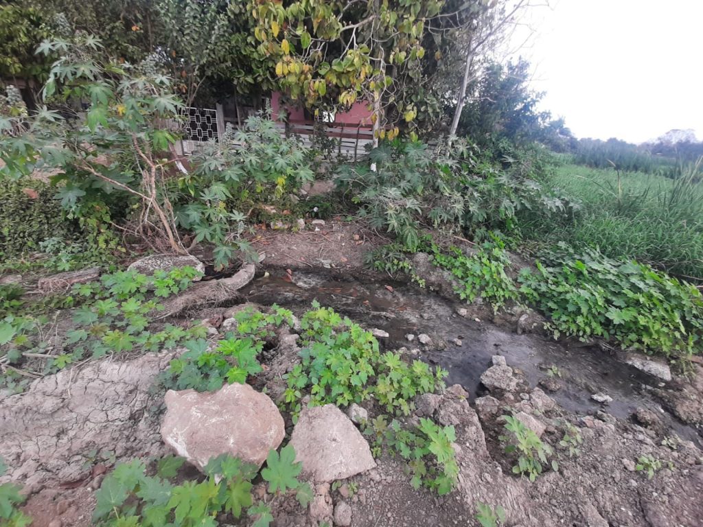 WhatsApp-Image-2026-03-05-at-9.10.25-PM-1-1024x768 Interviene la PAUT ante presunto relleno de la Laguna Tierra Negra de Madero