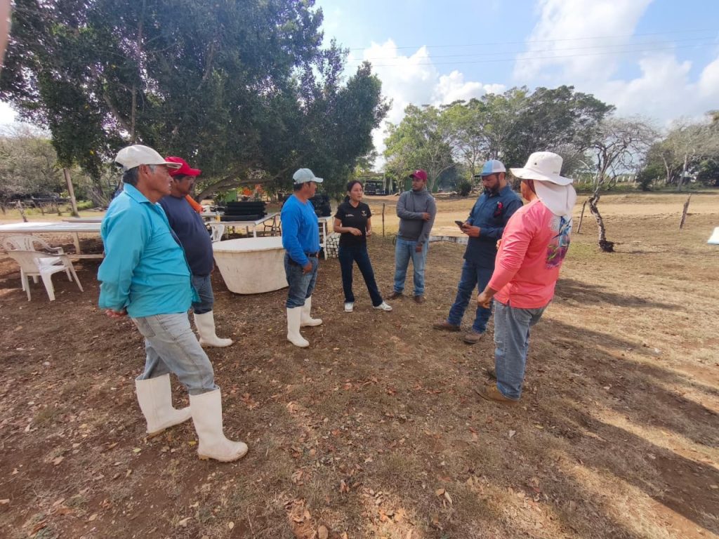 WhatsApp-Image-2026-03-17-at-6.19.09-PM-1024x768 Impulsan desarrollo de granjas de ostión en Aldama y San Fernando