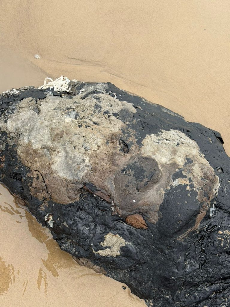 IMG-20260408-WA0005-768x1024 Analizan origen de hidrocarburo hallado en Playa Bagdad; descartan relación directa con derrame en Tabasco