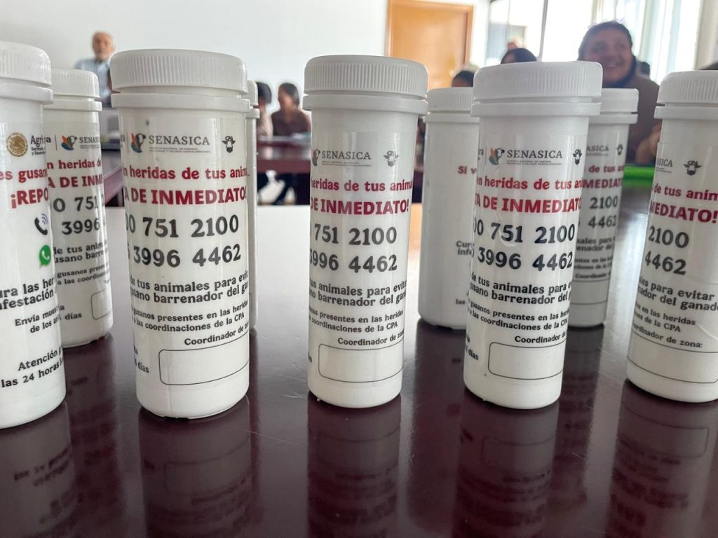 WhatsApp-Image-2026-04-10-at-1.17.22-PM-1-1024x768 Actualización de extensionistas, clave para detección temprana de la plaga